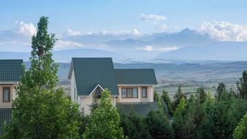 A house with a sloped roof and a brick exterior, surrounded by dense green trees and a mountainous landscape in the background.
