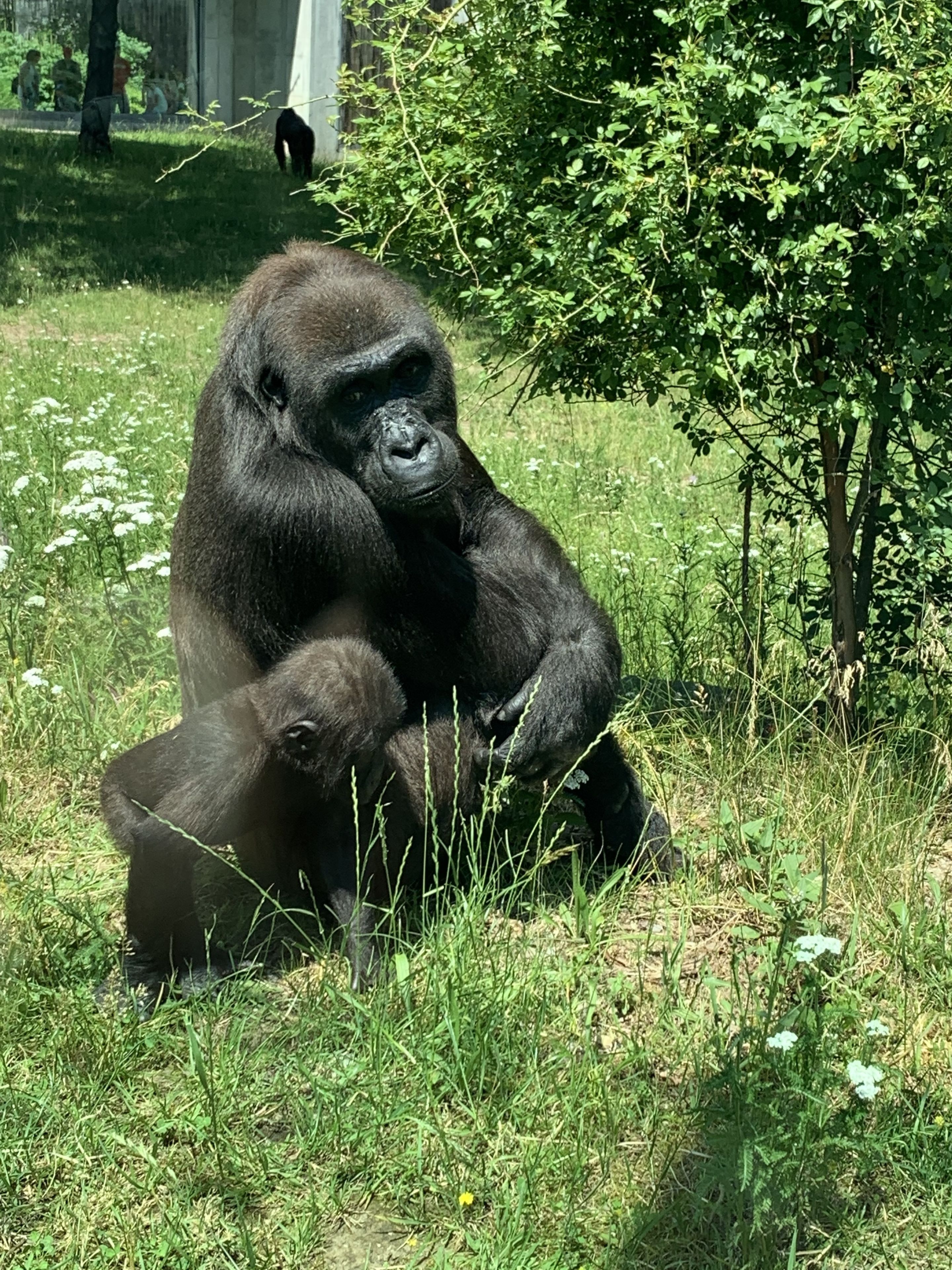 Foto - Hotel Möhringer Hof