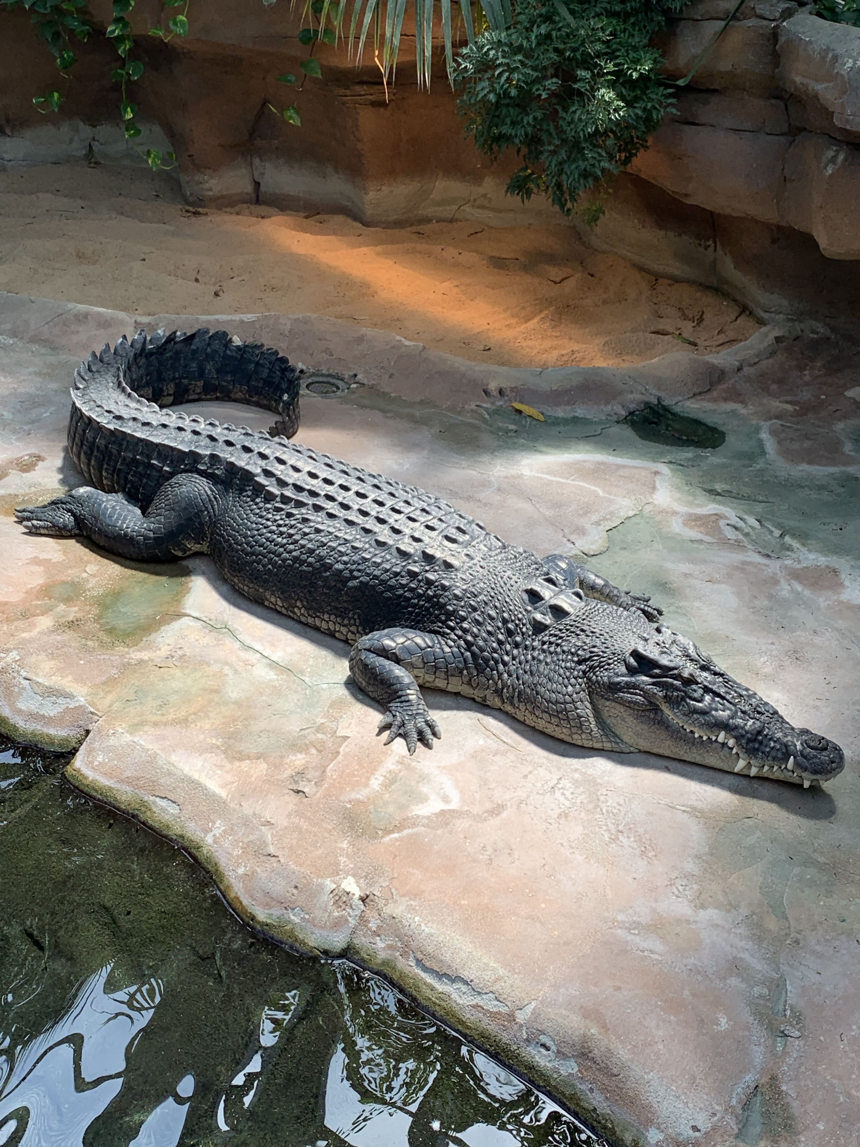 Foto - Hotel Möhringer Hof