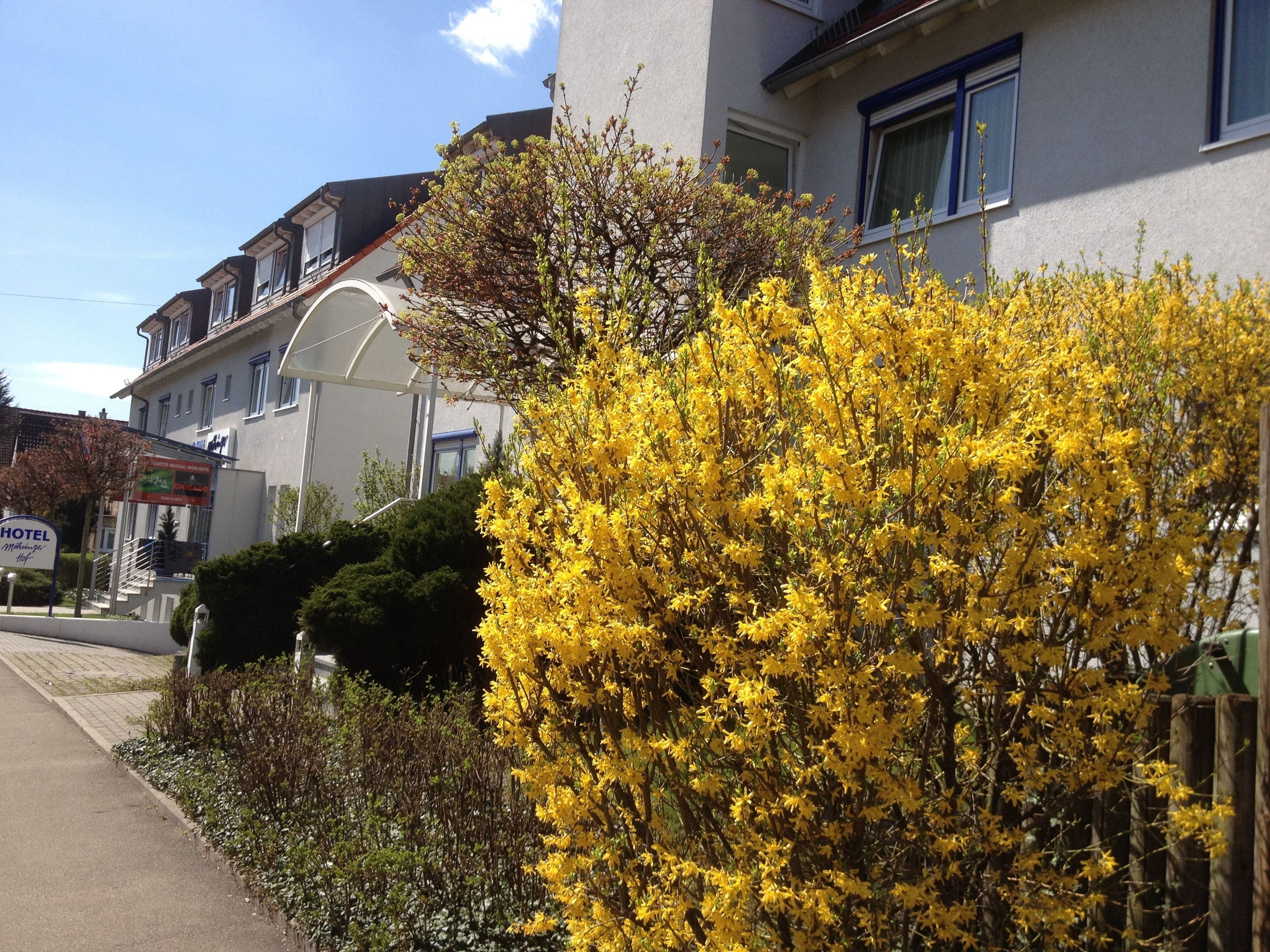 Foto - Hotel Möhringer Hof