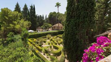 Vista dalla struttura