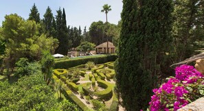 الإطلالة من المنشأة