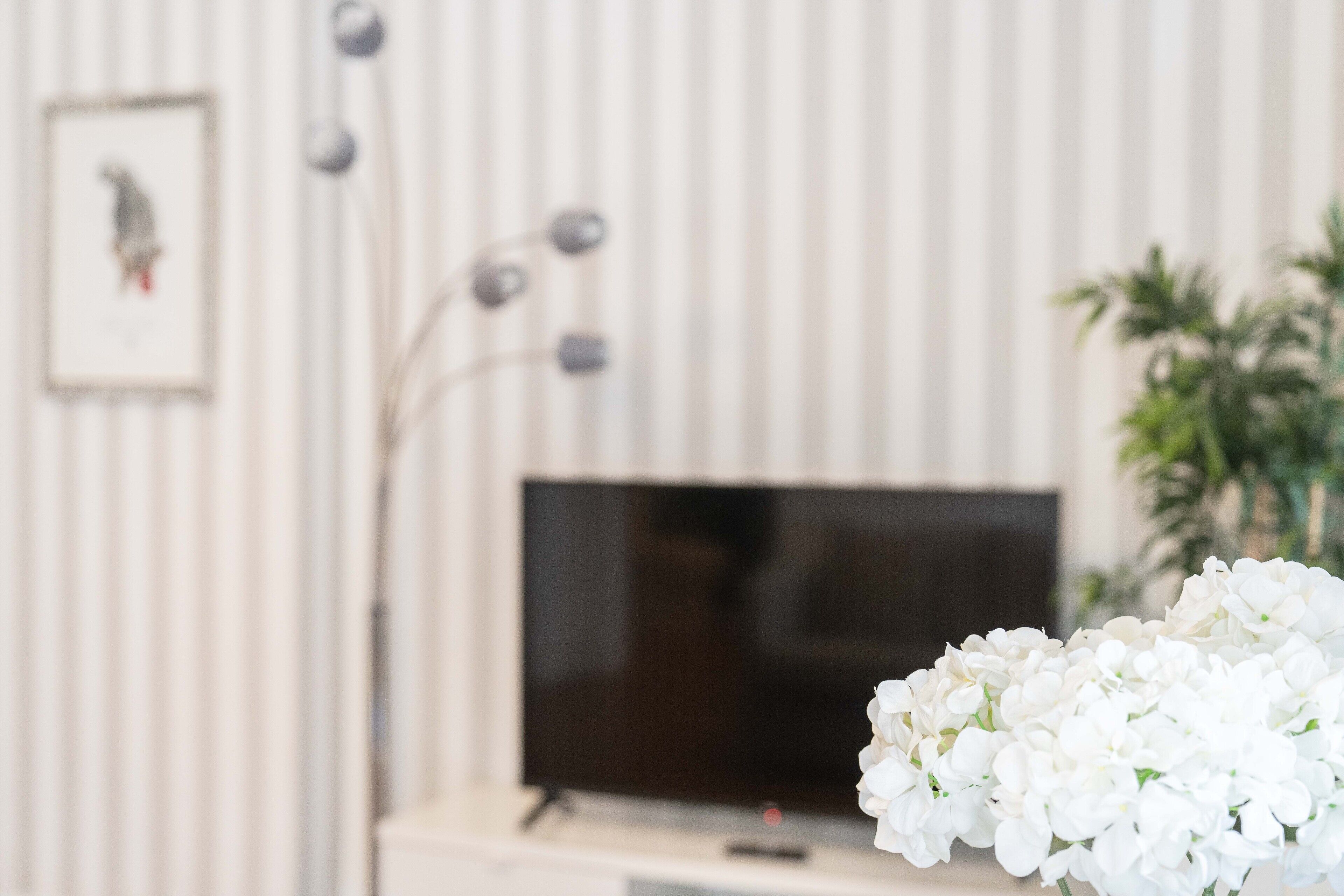 Une pièce avec un téléviseur à écran plat posé sur un meuble, un tableau encadré accroché au mur et une plante en pot.