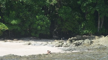 Playa en los alrededores