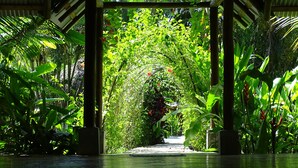 Yoga - Indigo Yoga Resort (Cóbano)