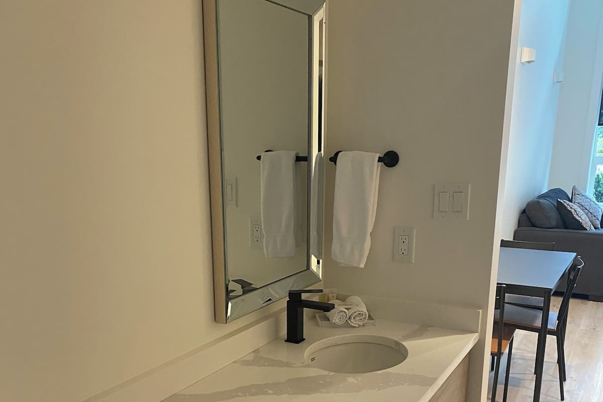 The loft, 1 bedroom, with Kitchenette | Bagno | Combinazione doccia/vasca, set di cortesia gratuito