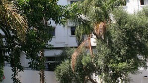 A swimming pool with people in it, surrounded by trees and a building with multiple windows.