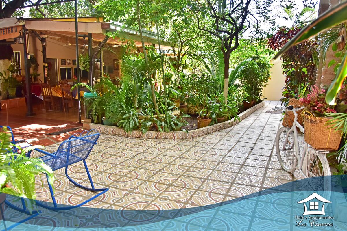 A patio area with tiled flooring, a bicycle, and various potted plants.