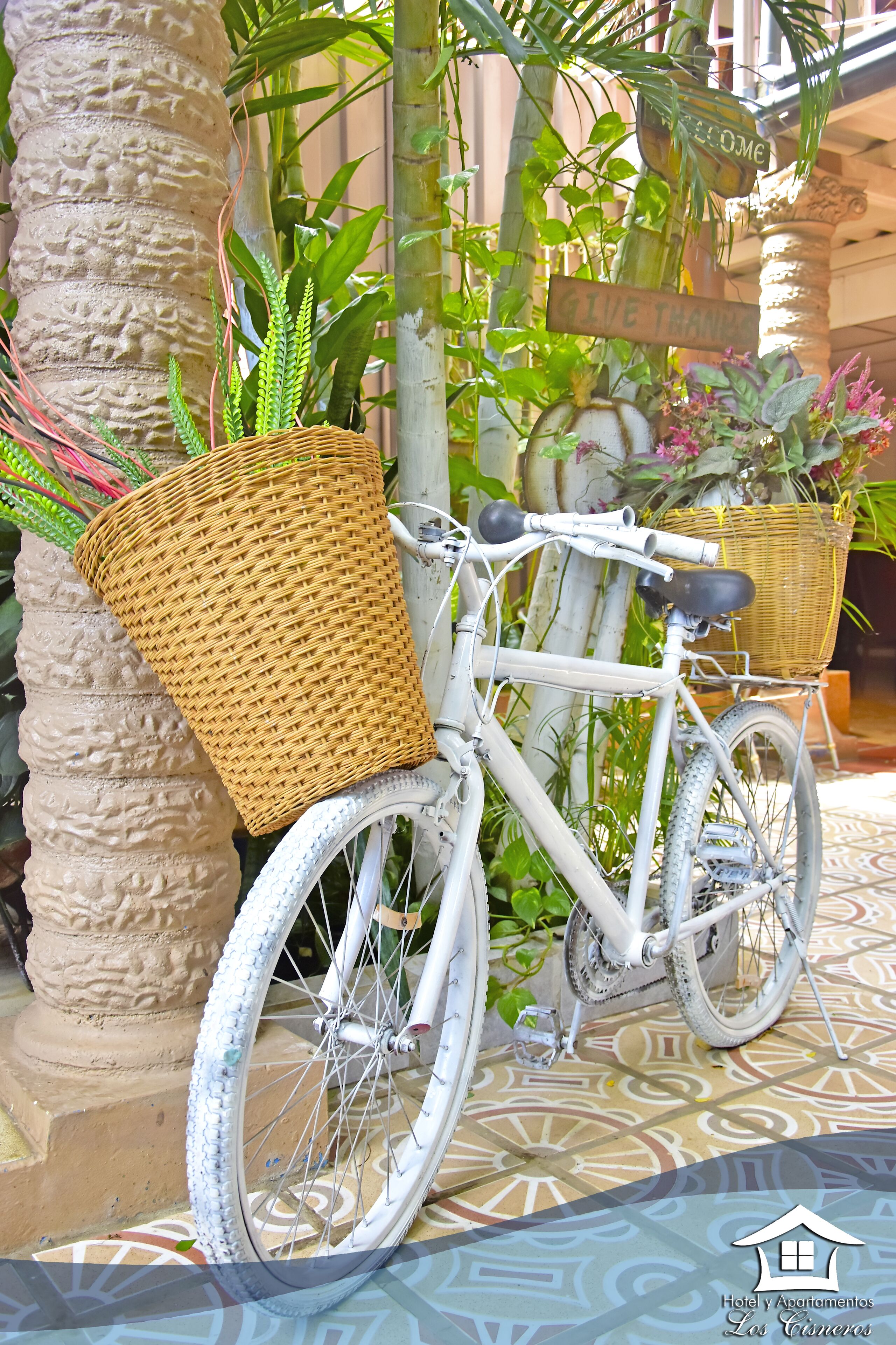 Foto - Hotel y Apartments Los Cisneros