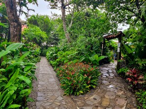 Un chemin de pierres serpente à travers un jardin luxuriant, où l’on trouve une variété de plantes et une petite construction.