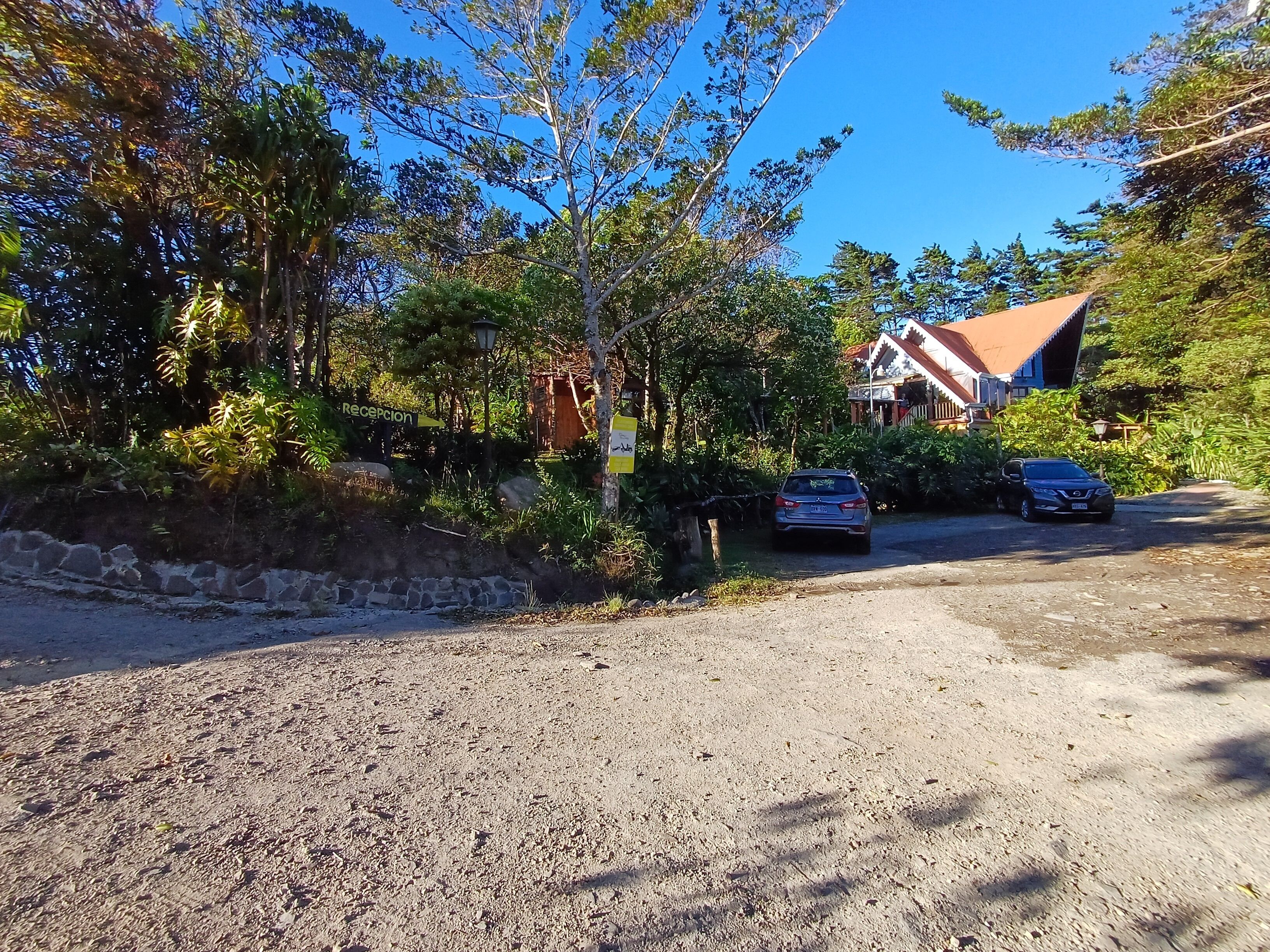 A gravel driveway leading to a building with a red roof, surrounded by trees and greenery.