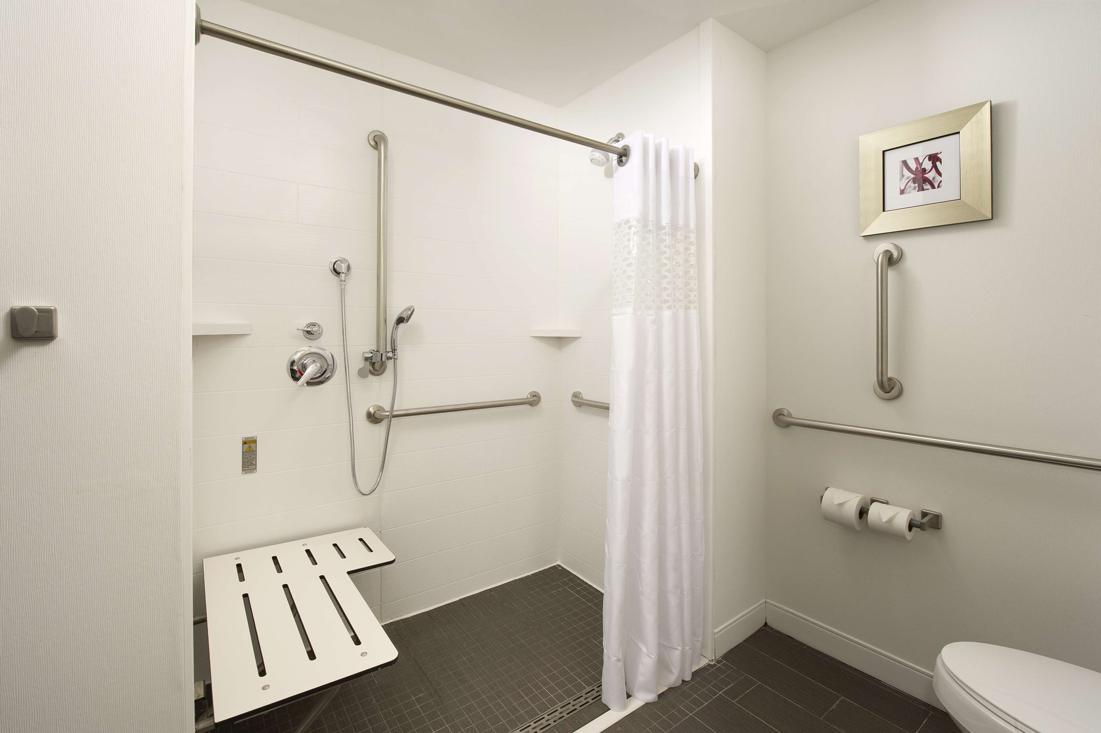 room, 1 king bed, accessible, non smoking (roll-in shower) | bathroom | free toiletries, hair dryer, towels