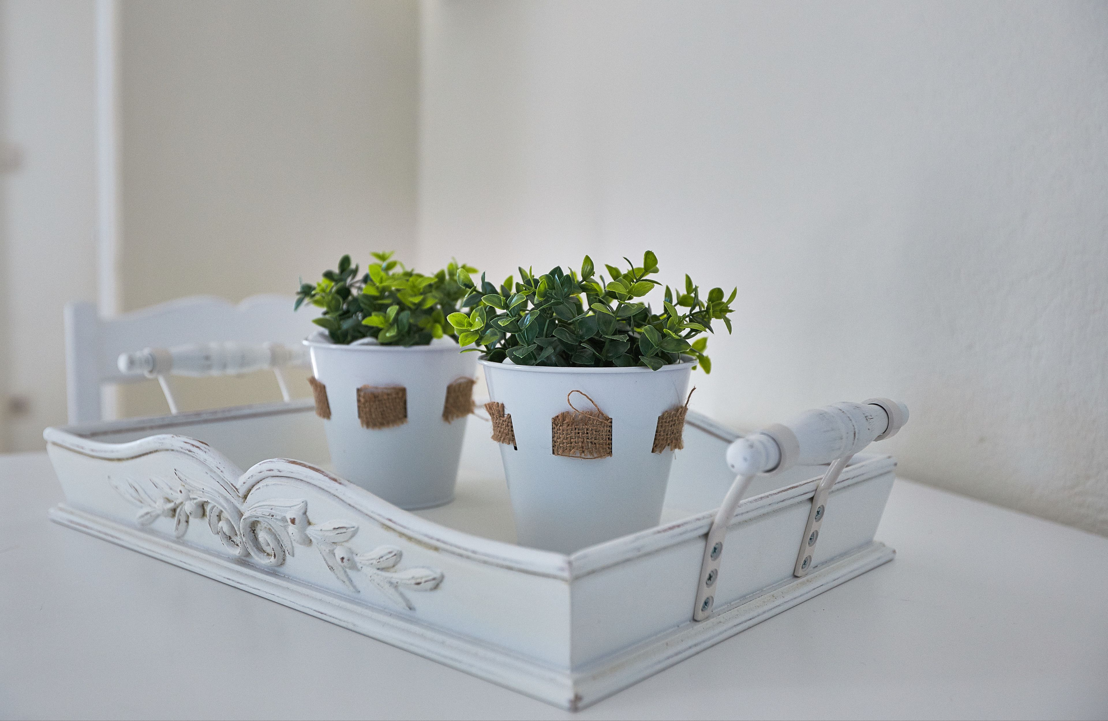 Two white potted plants with burlap ties on a white tray with ornate designs.