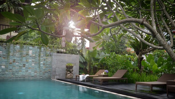 A pool area with lounge chairs, a stone wall, and lush greenery. - Bumi Muwa Ubud (Ubud)