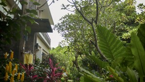 A narrow pathway flanked by lush greenery and a building with a balcony. - Bumi Muwa Ubud (Ubud)