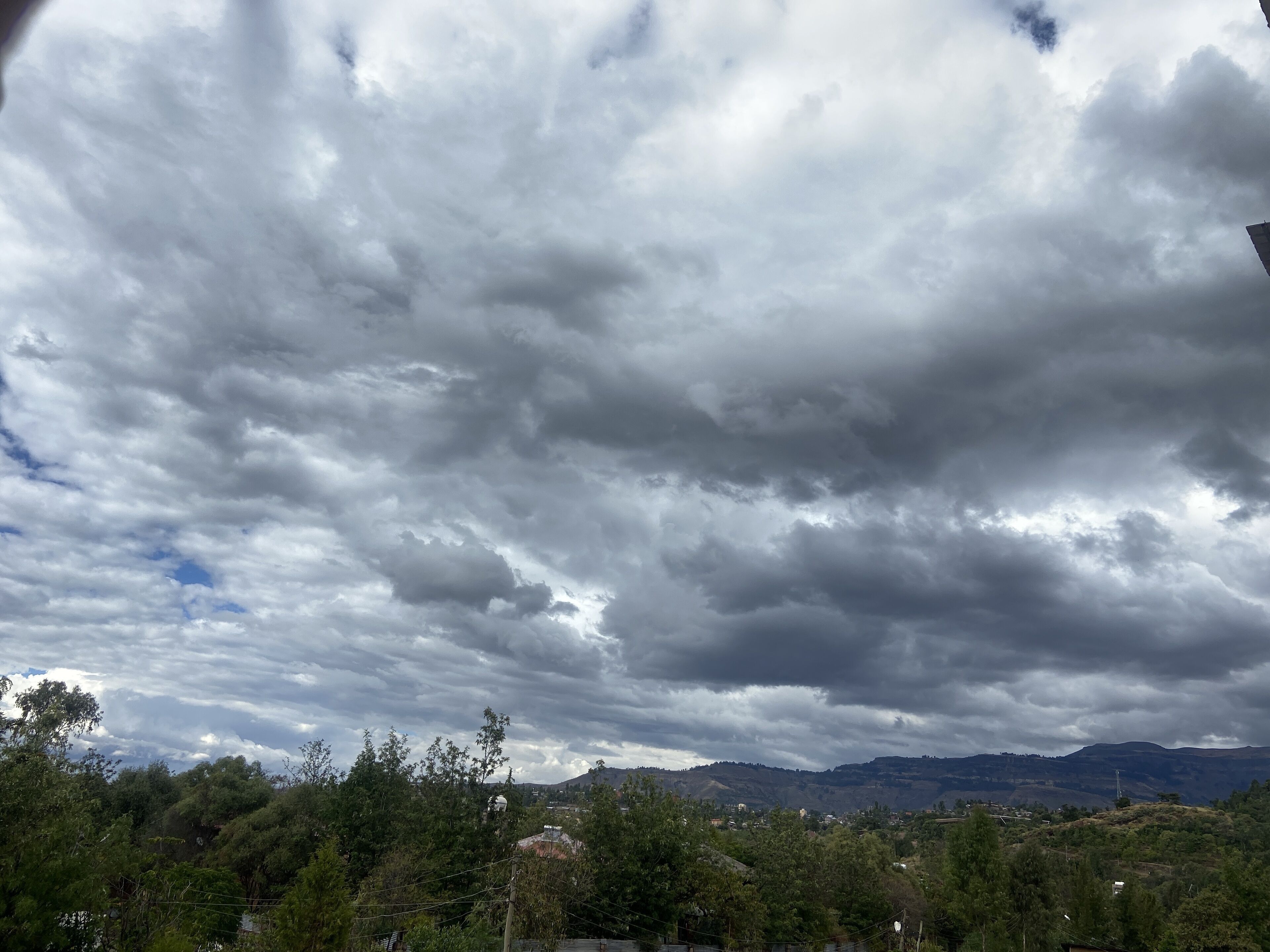 standard double room, 4 bedrooms | premium bedding, down duvets, in-room safe, desk