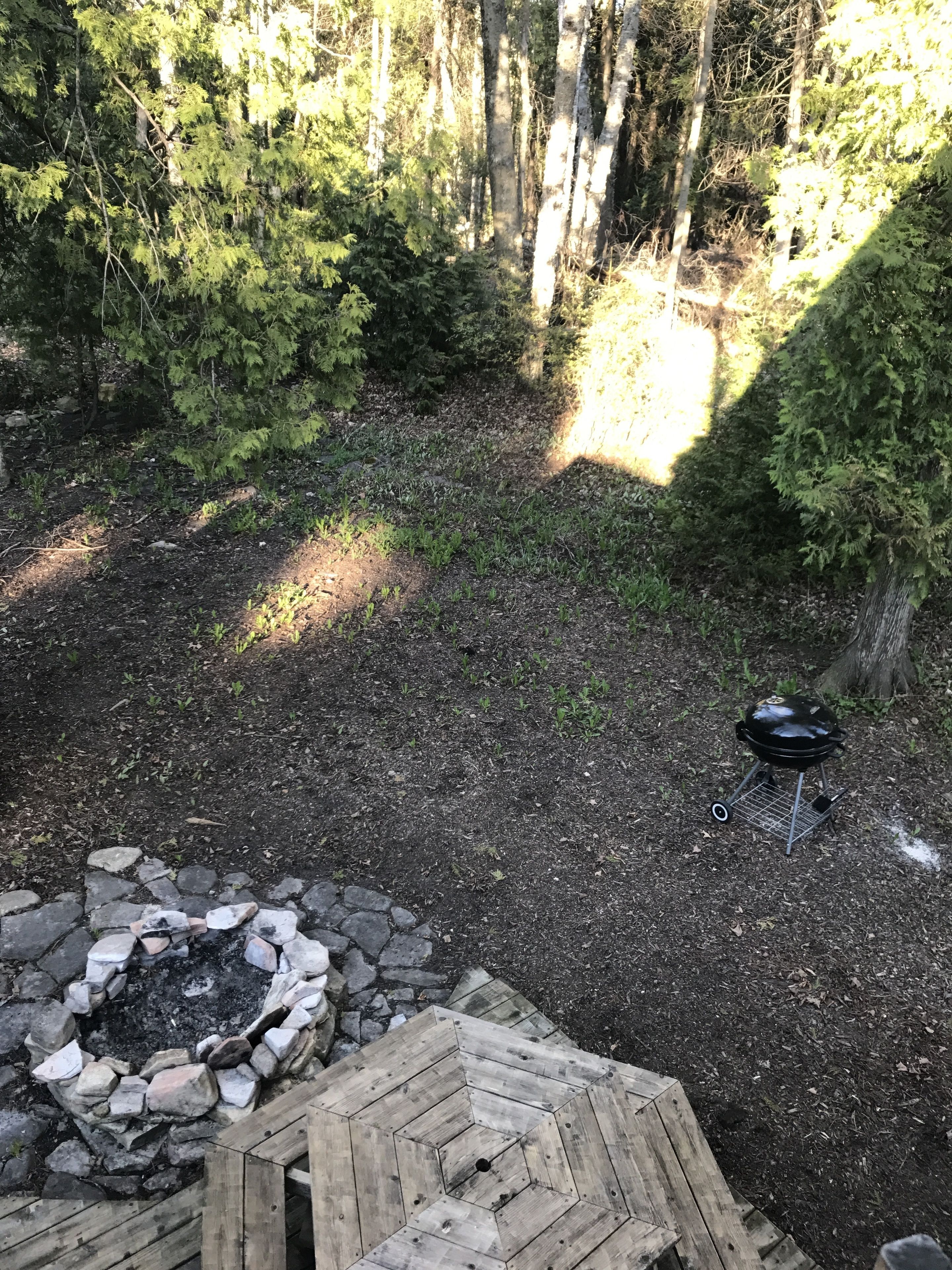 Un espacio al aire libre rodeado de árboles con un hogar de piedra y una parrilla portátil.