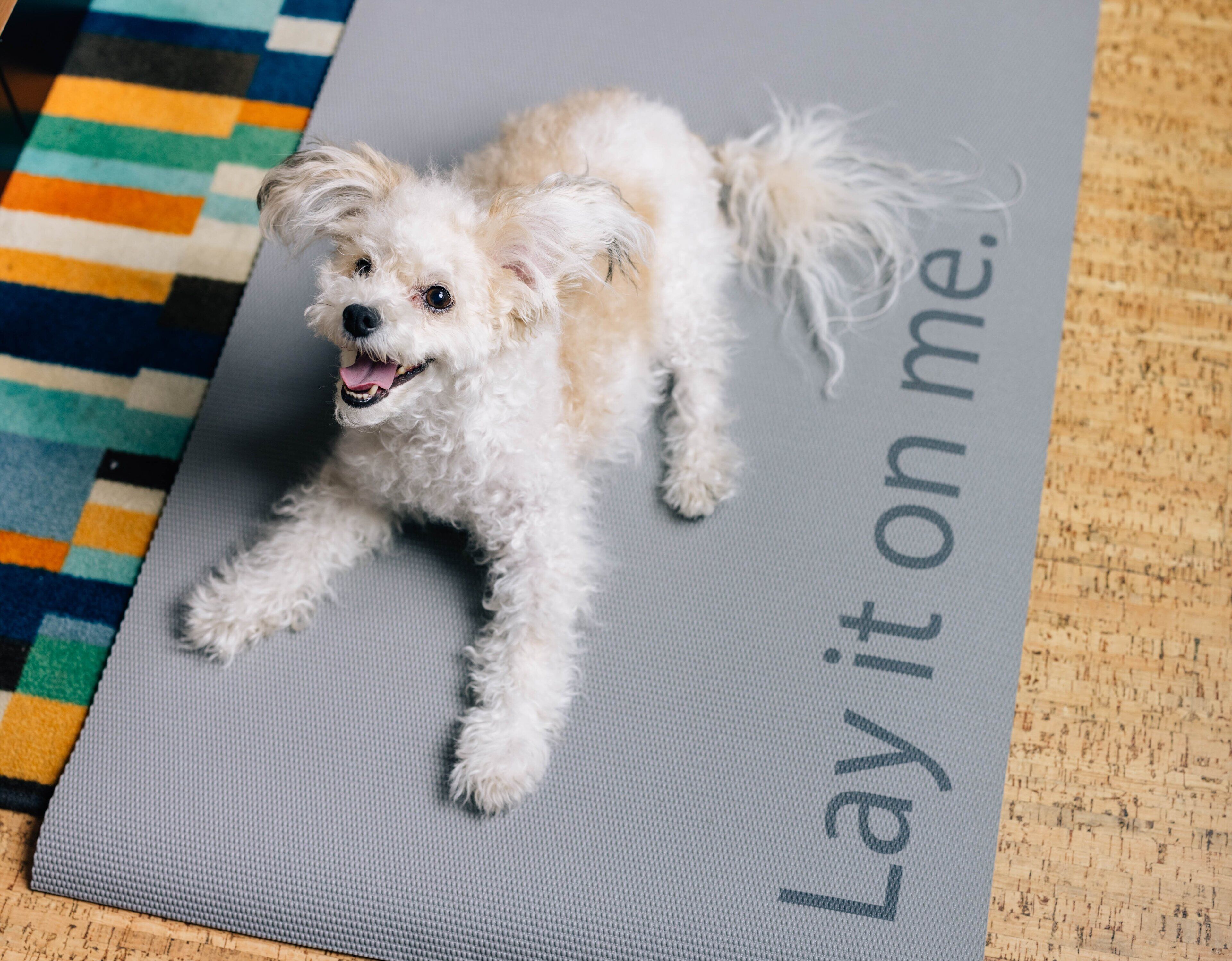 Photo - EVEN Hotel New York - Midtown East by IHG