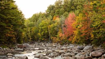 A rocky riverbed with trees in autumn colors.