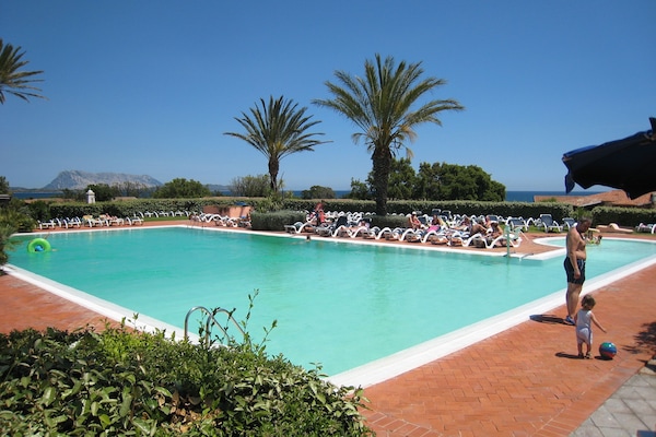 Seasonal outdoor pool, pool umbrellas, sun loungers