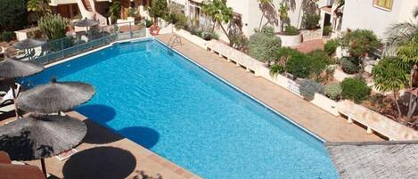 Piscina com espreguiçadeiras e guarda-sóis, rodeada por um edifício com varandas e plantas em vasos.