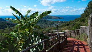 Una escalera de madera que lleva a un mirador con vistas al océano y a la costa distante.