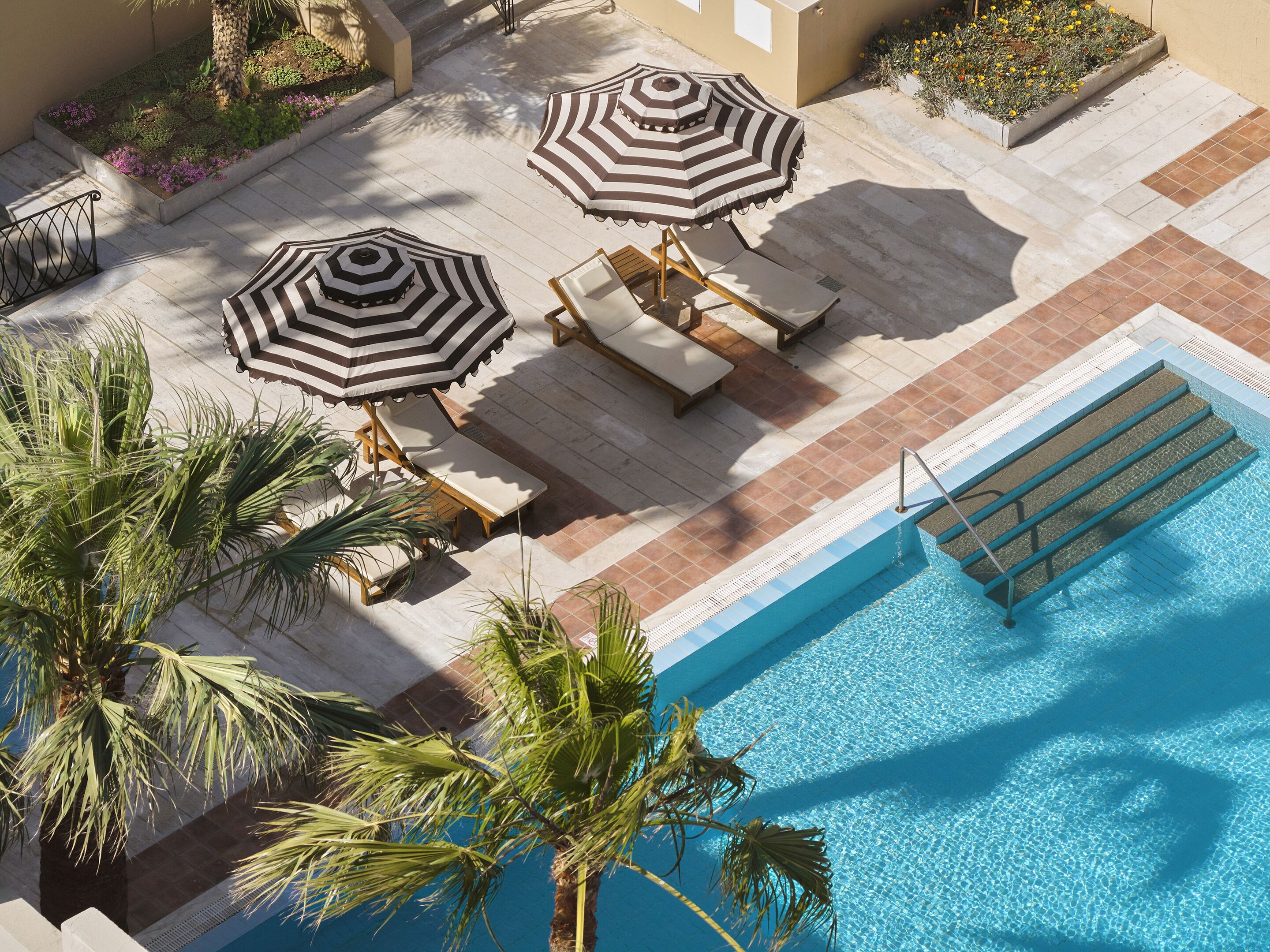 A rooftop pool area with sun loungers and striped umbrellas, surrounded by palm trees and a clear blue pool.