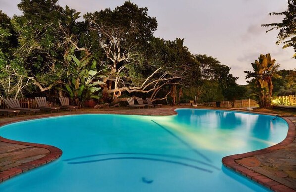 A swimming pool with a curved edge, surrounded by lounge chairs and a wooden fence. - Sodwana Bay Lodge (Sodwana)