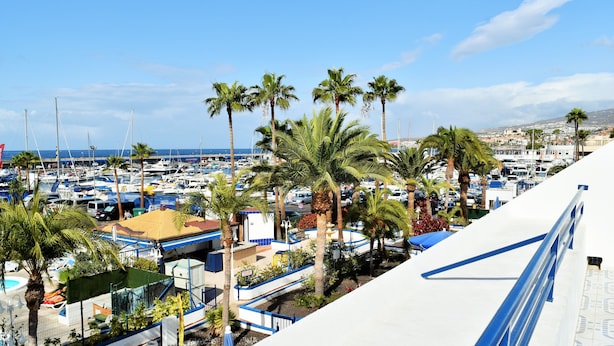 Un puerto deportivo con barcos, palmeras y edificios.
