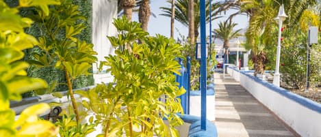 A pathway lined with palm trees and a blue railing, leading to a building with a white facade.