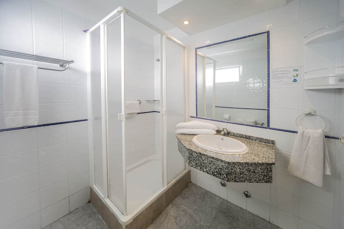 standard studio | bathroom | shower, hair dryer, bidet, towels