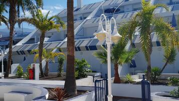 A modern building with a geometric facade, surrounded by palm trees and a patterned pavement.