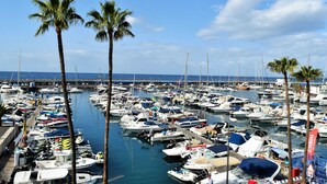 Una marina con numerosas embarcaciones amarradas, rodeada de palmeras.