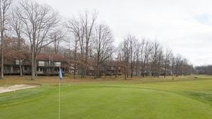 A golf course with a flagstick, surrounded by leafless trees and residential buildings in the background. - Crown Resorts at Silverwoods (DuBois)