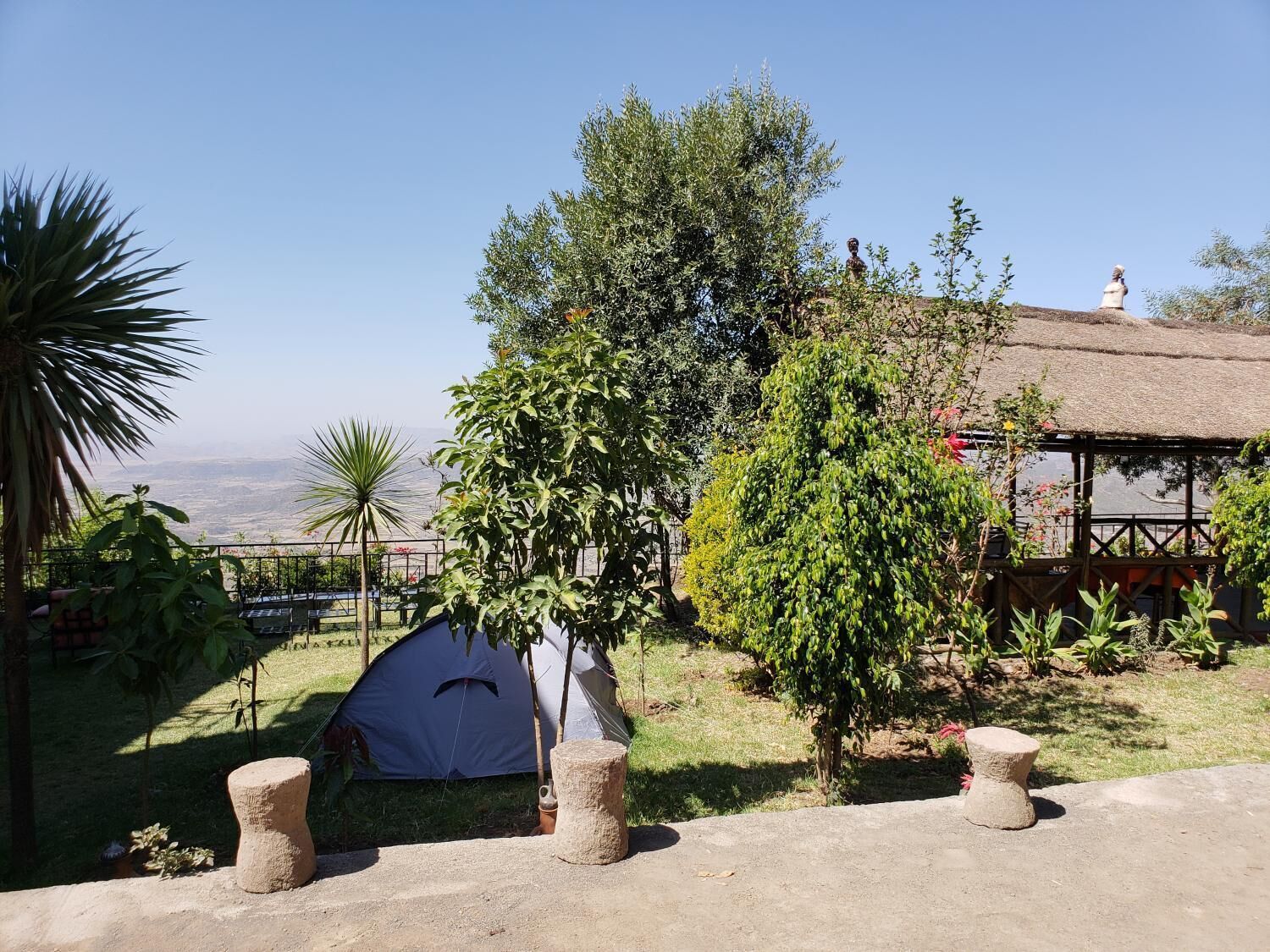 Un terrain de camping avec une tente, un arbre et une structure à toit de chaume.