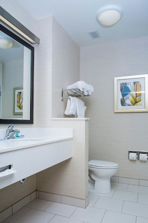 Combined shower/bathtub, free toiletries, hair dryer, towels