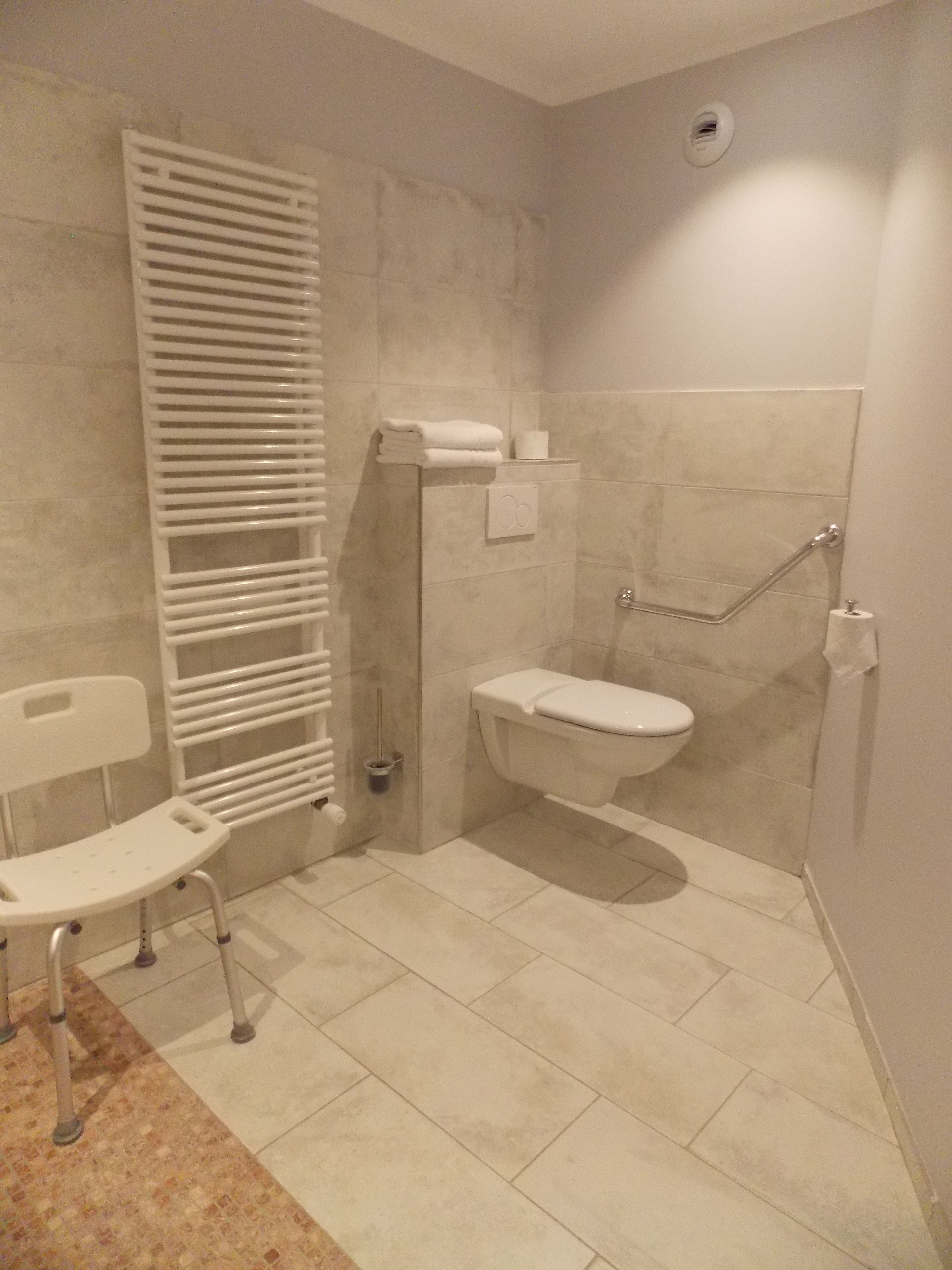 comfort room, accessible, terrace | bathroom | free toiletries, towels