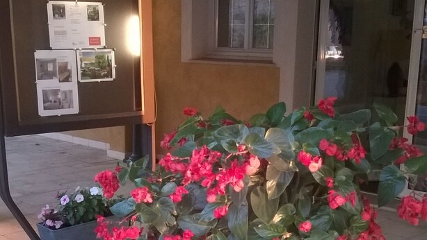 Een grote plantenbak met rode bloemen voor een gebouw met een prikbord waarop foto's en tekst staan.