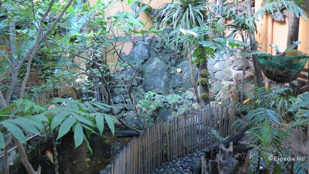 Garden - Mayflower Inn (Cebu)