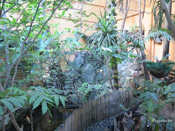 Garden - Mayflower Inn (Cebu)