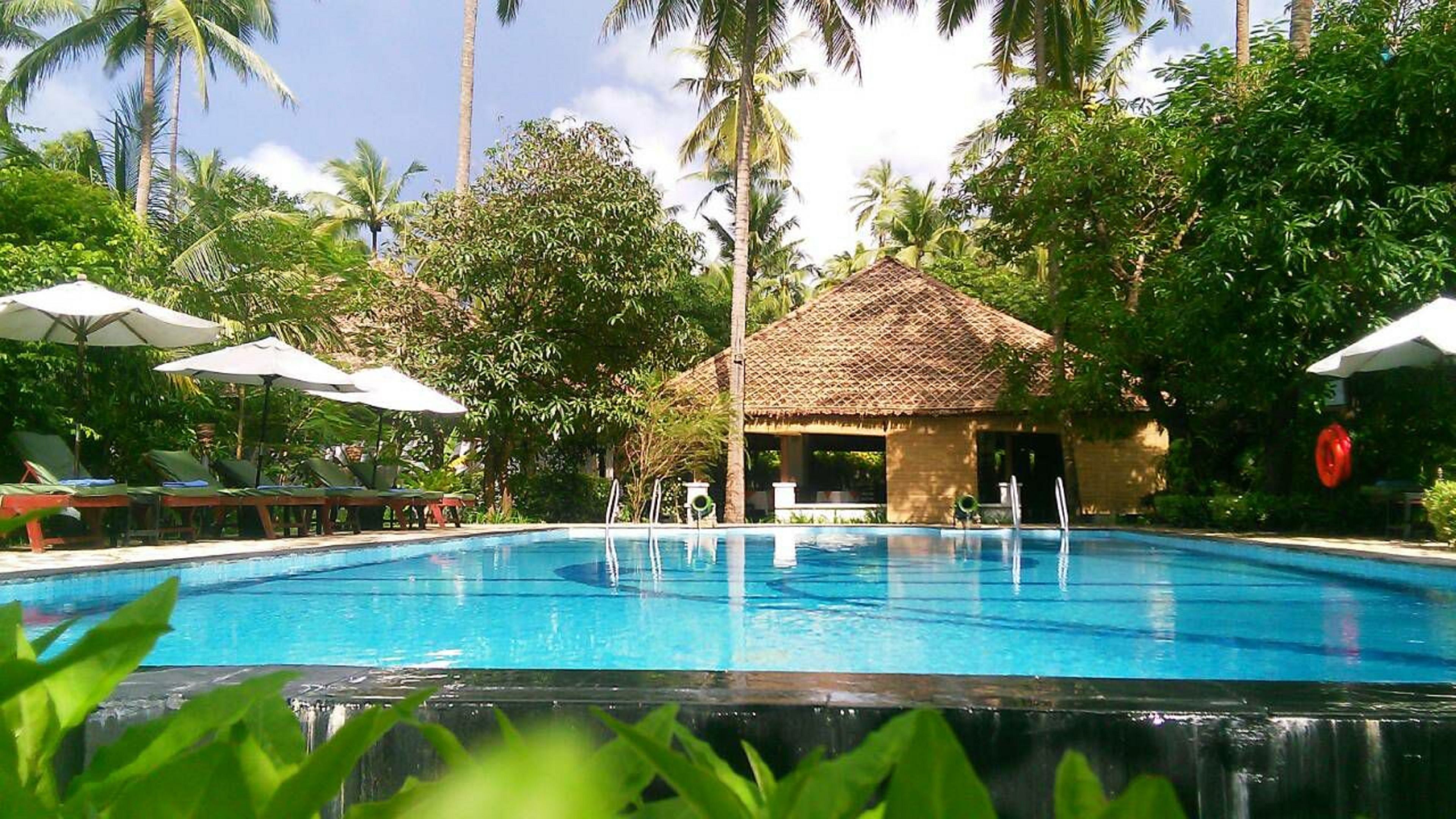 Una piscina rodeada de palmeras y sillas de descanso.