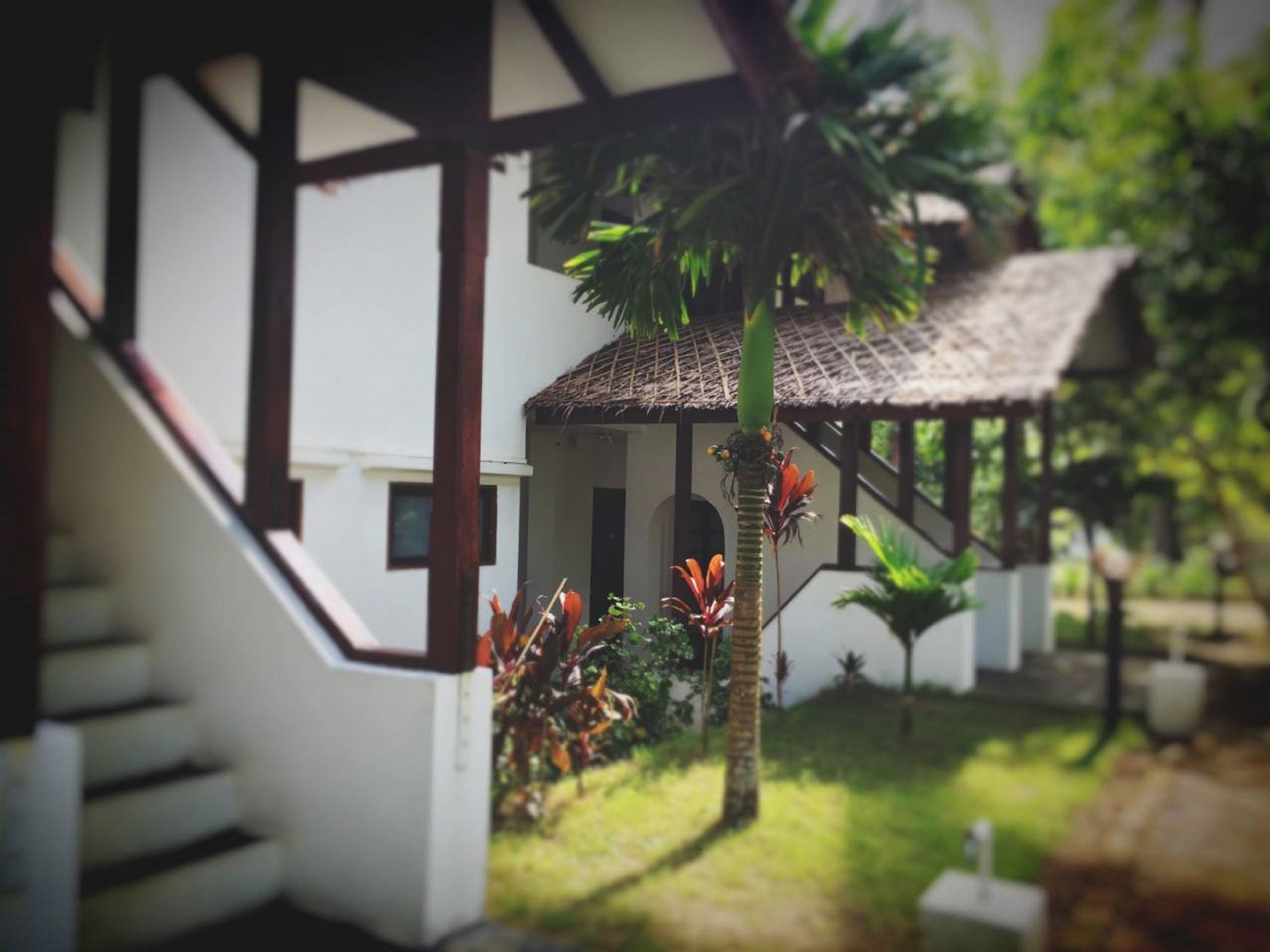 A model of a house with a staircase, a thatched-roof structure, and tropical plants.