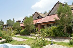 Cunas gratuitas, wifi gratis y acceso para silla de ruedas 