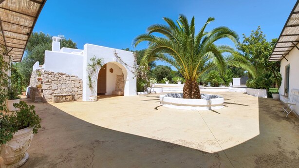 A courtyard with a palm tree, stone walls, and potted plants. - La Fuggiola (San Vito dei Normanni)