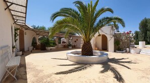 Courtyard - La Fuggiola (San Vito dei Normanni)