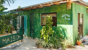 A green building with a reception sign, a gated entrance, and a small garden area. - Maison Soleil (Mahé Island)