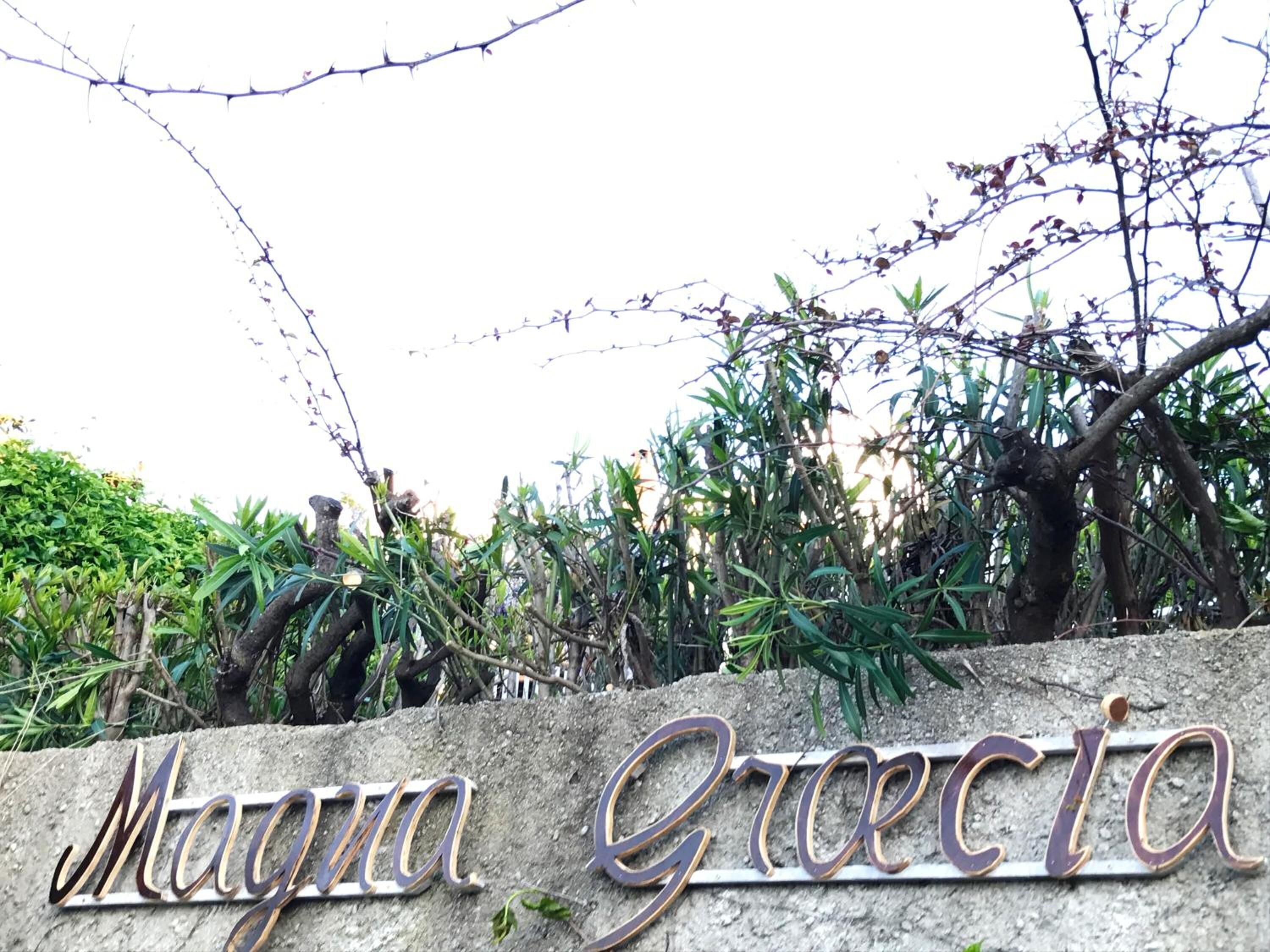 Un letrero con el nombre 'Magna Grecia' en una tipografía decorativa, rodeado de follaje y una cerca de alambre de púas.