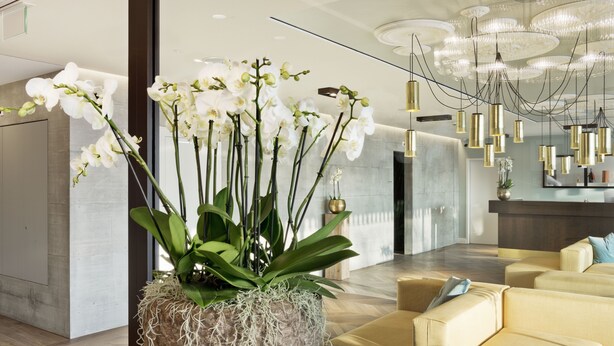 Een moderne lobby met een grote potorkidee, beige banken en een kroonluchter.