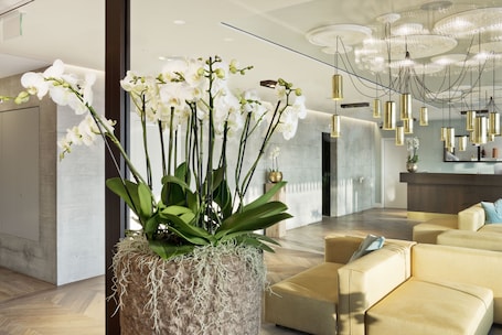 Sala de estar en el lobby. Hotel Kettenbrücke