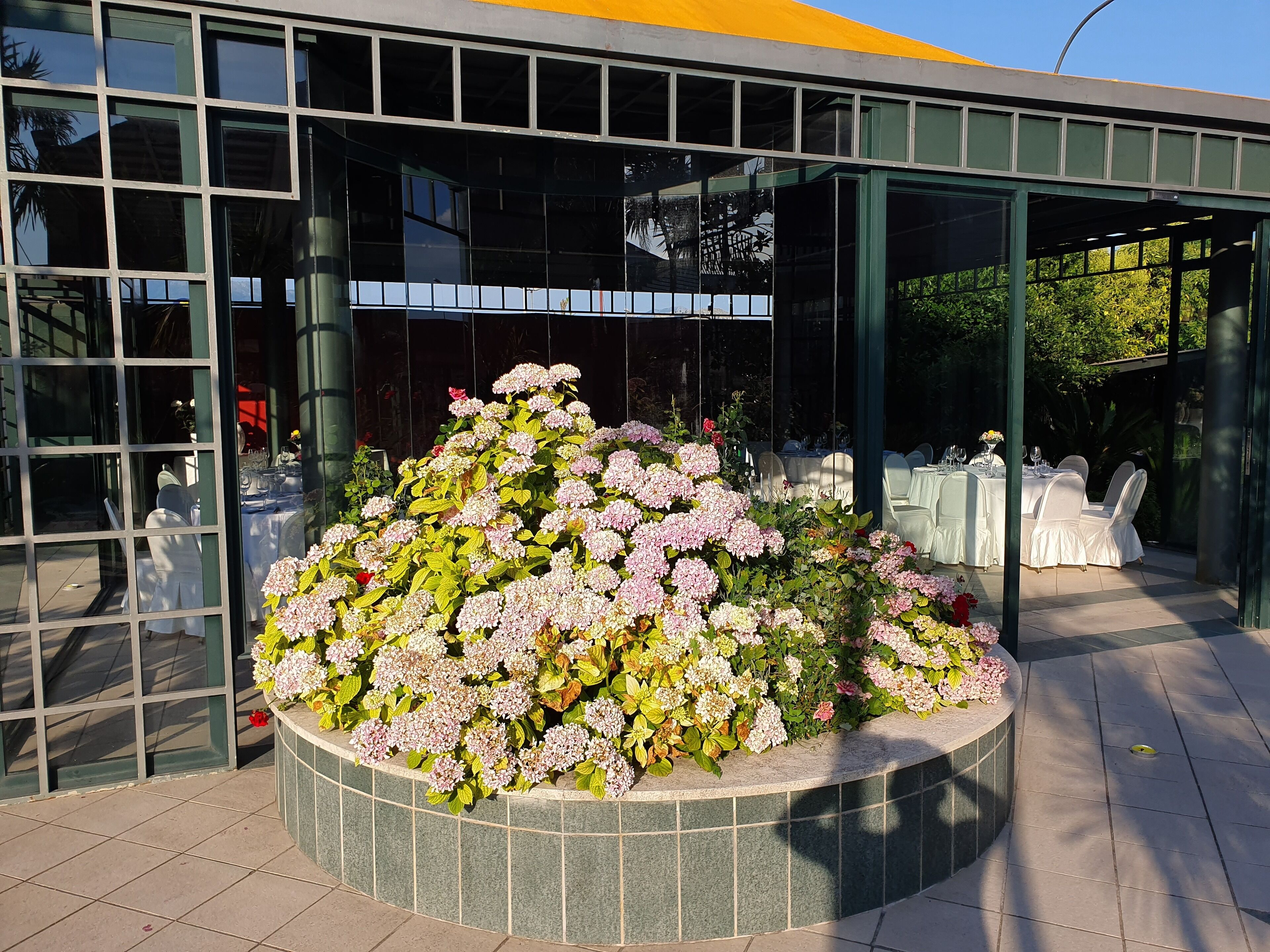 A building with large windows and a circular flower bed with pink flowers.